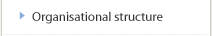 Organisational structure