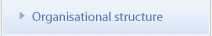 Organisational structure