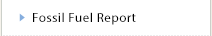 Fossil Fuel Report